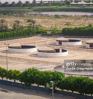 Arabian Ranches - the property quarter estate